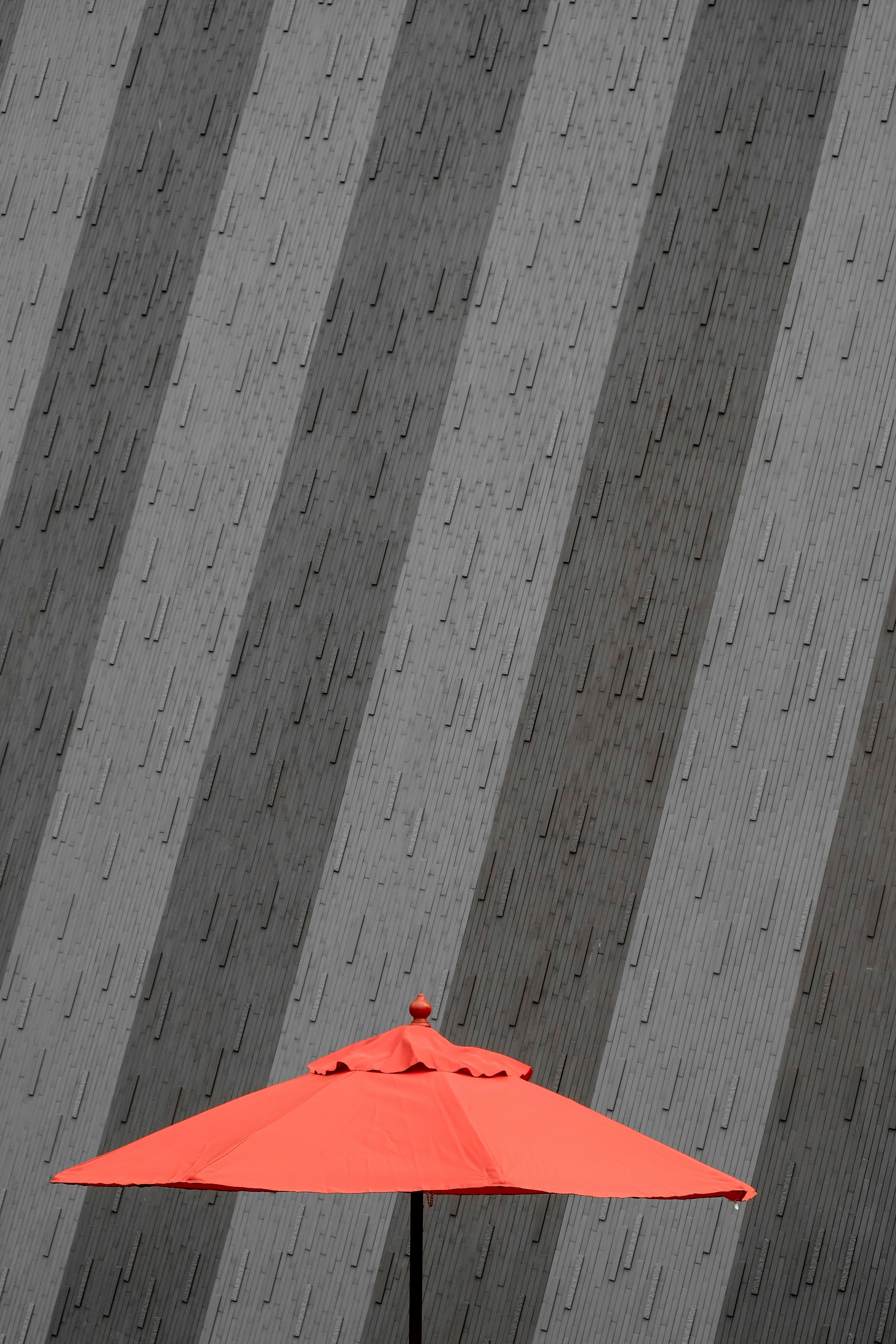 orange and black parasol near the gray wall